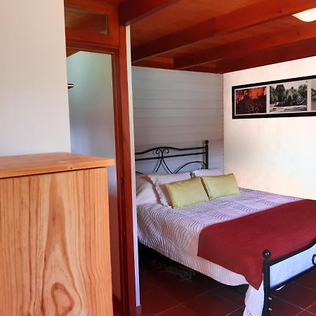 Bed and Breakfast Quinta No Pinhal Vila Nova de Poiares Exterior foto