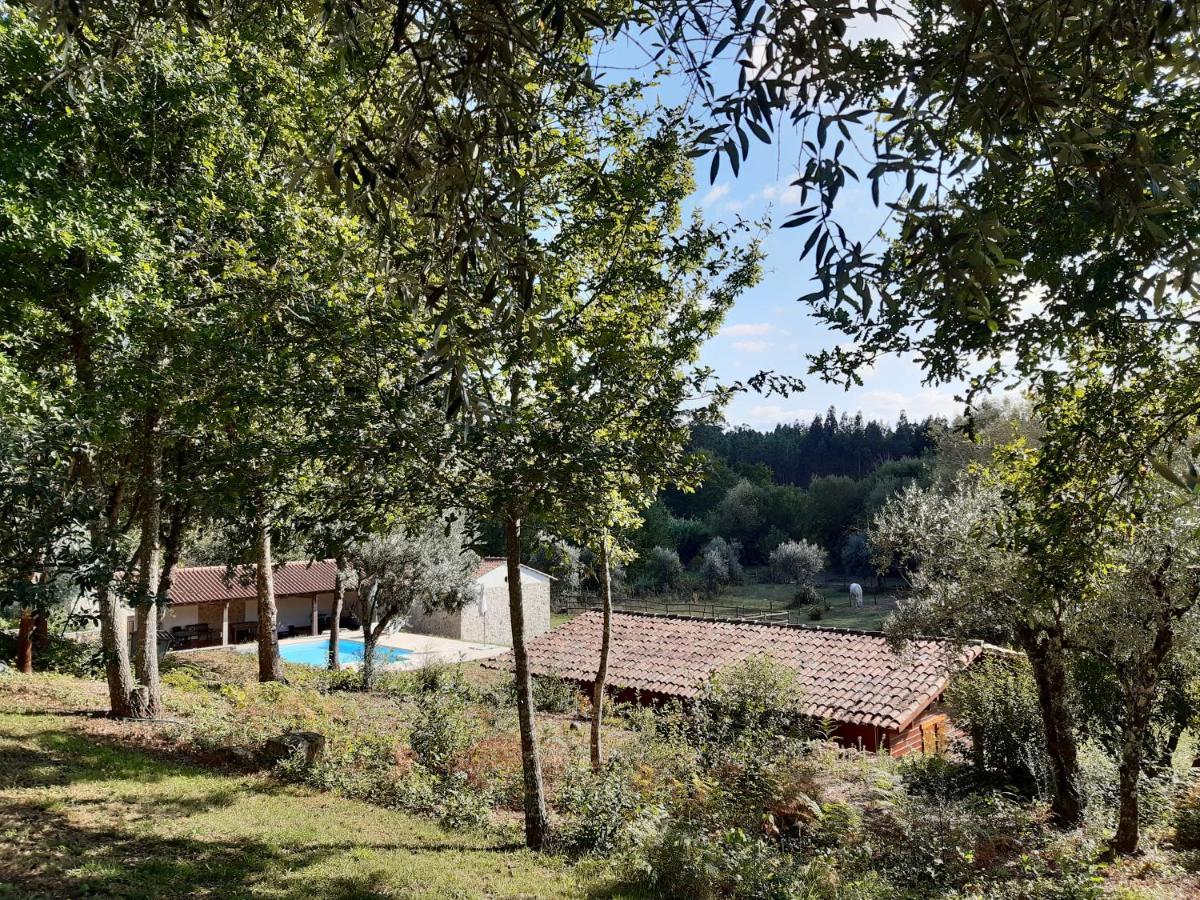 Bed and Breakfast Quinta No Pinhal Vila Nova de Poiares Exterior foto