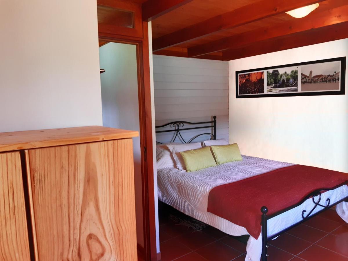 Bed and Breakfast Quinta No Pinhal Vila Nova de Poiares Exterior foto